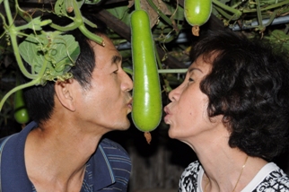 TT Vũ Ngô Triệu in Houston